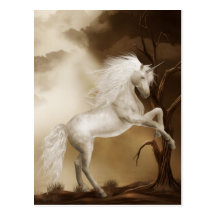 Unicorn Magical Beauty Postcard