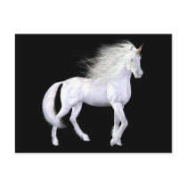 Unicorn White Beauty Postcard