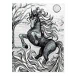 Unicorns Black Unicorn Black & White Drawing Postcard