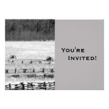 Unique Fourth of July Personalized Invitation
