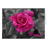 "Unique" Mother's Day pink rose (bw) card