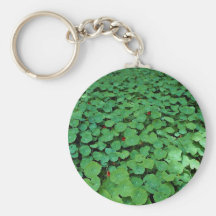 Unique Nasturtium Key Chains