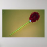 Unique Toilet brush Poster