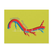 Unique Vascular Physician Gifts Postcards