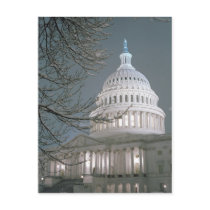 United States Capitol Building in Winter Dress Postcards