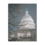 United States Capitol Building in Winter Dress Postcards