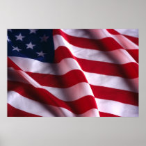United States Flag Poster Print