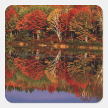 United States, Michigan, Upper Peninsula. Fall Square Stickers
