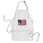 United States of Earth Flag Apron