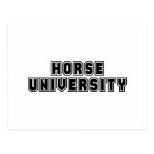 Université de cheval carte postale