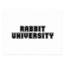 Université de lapin carte postale