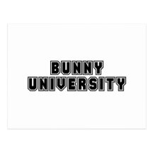 Université de lapin cartes postales