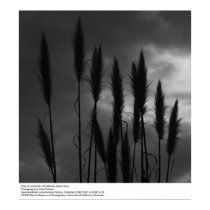 University of California, Santa Cruz, Ansel Adams posters