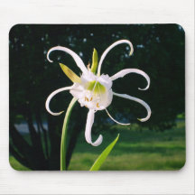 "Unknown Flower" mousepad