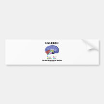 Unleash The Neuroscientist Within (Brain Anatomy) Bumper Sticker