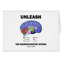 Unleash The Neuroscientist Within (Brain Anatomy) Cards