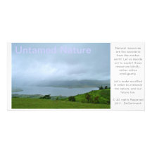 Untamed Nature Photo Card