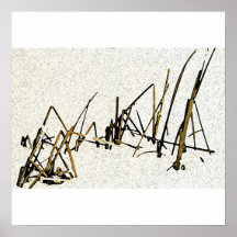 Untitled #2 Poster/Print