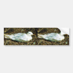 Untitled Bumper Sticker