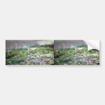 Untitled Bumper Stickers
