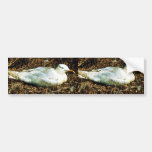 Untitled Bumper Stickers