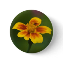 Untitled Button