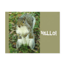 Untitled Postcard