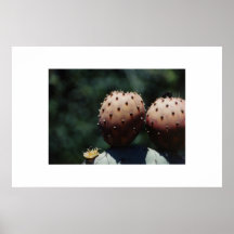 untitled poster