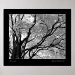 Untitled Poster