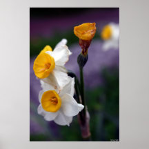 untitled poster