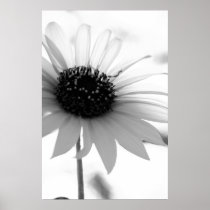 Untitled Poster