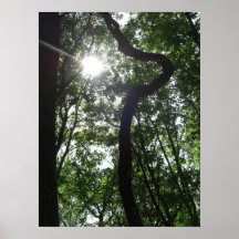 Untitled Poster