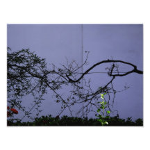 Untitled. Sevilla. Photo Art