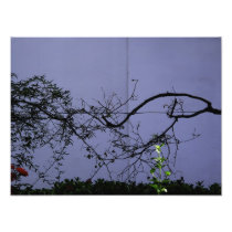 Untitled. Sevilla.