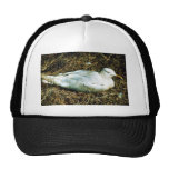 Untitled Trucker Hat