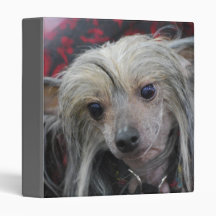 Unusual Chinese Crested Binder