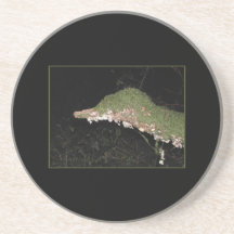 Unusual Vegetation in the Woods. Beverage Coaster