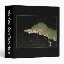 Unusual Vegetation in the Woods. Binders