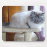 U'Onyx Cardiff Baby Blue 002 Tapis De Souris