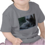 U'Onyx Cardiff Baby Blue 018 T-shirts