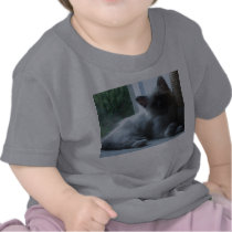 U'Onyx Cardiff Baby Blue 018 T-shirts