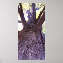 Up a tree poster