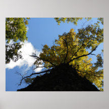 Up above poster
