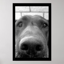 Up Close and Personal Poster