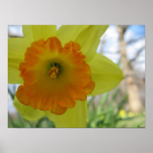 Up close and personal print