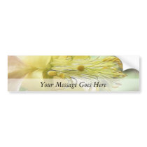Up Close - Columbine Bloom! Bumper Sticker