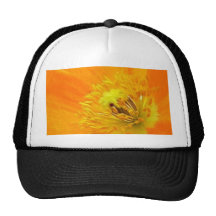Up Close - Iceland Poppy Hat