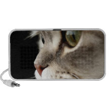 Up-Close Kitty Speakers