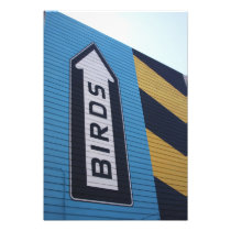 Up for birds photograph