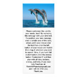 Up Up Up Dolphins Custom Rack Card